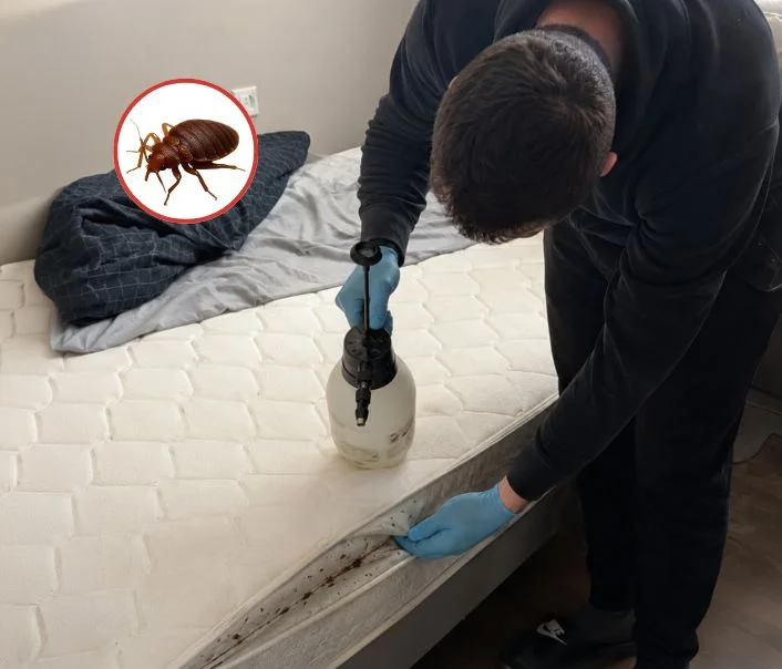 Technicien traitant un matelas contre les punaises de lit à Villiers-sur-Marne